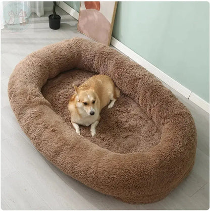 Large dog bed