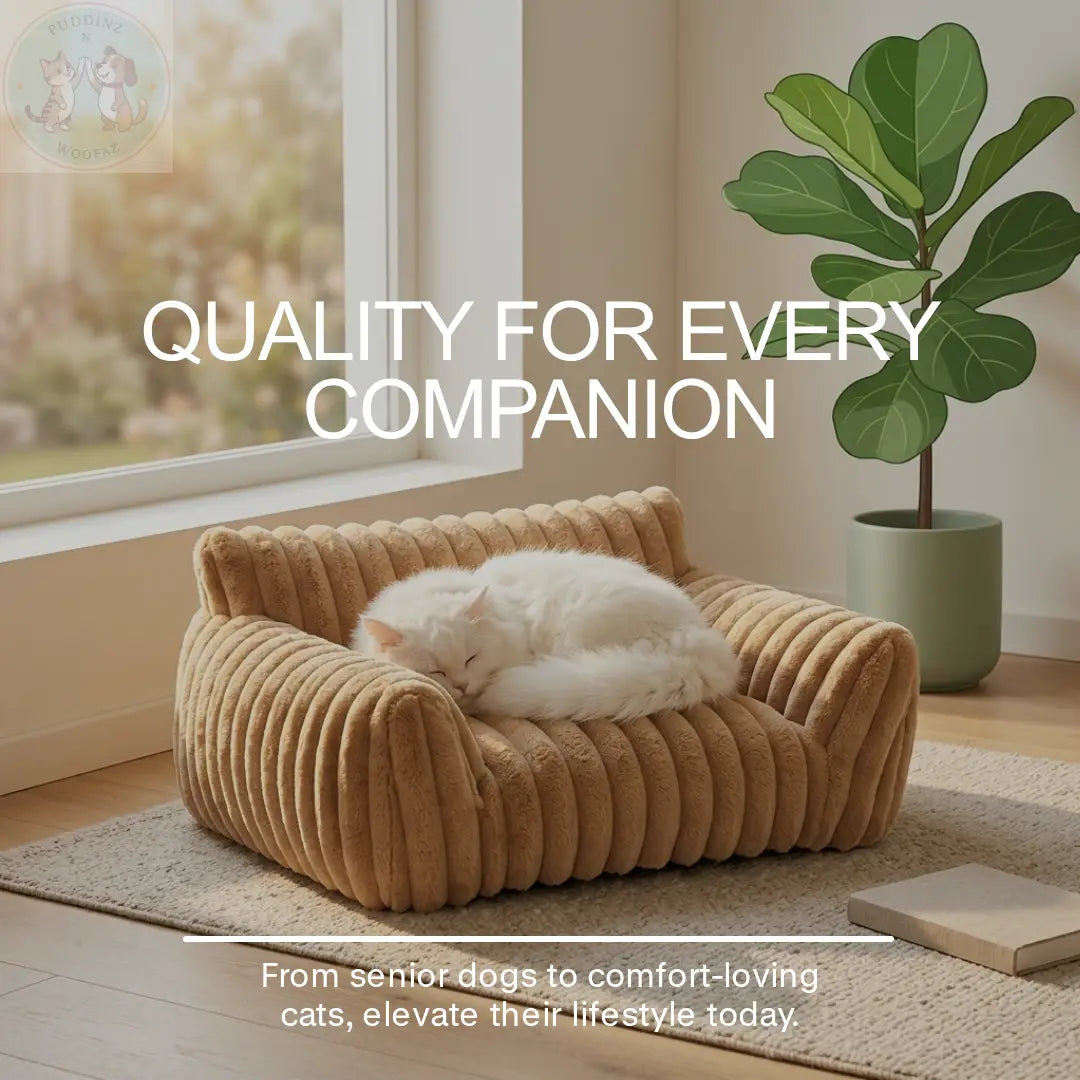 Orthopedic Dog Bed – Washable Memory Foam Pet Sofa Puddinz n Woofaz   Puddinz n Woofaz