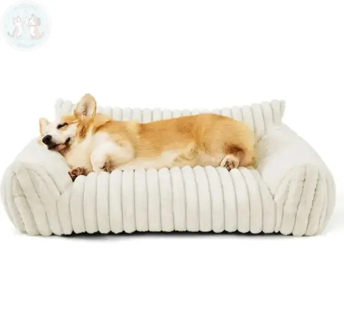 Orthopedic dog bed