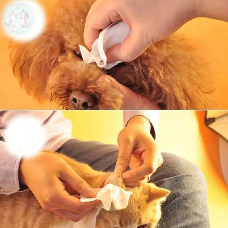 pet dog wipes