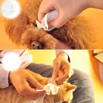 pet dog wipes