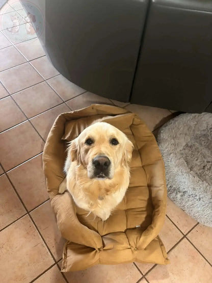 Portable Dog Bed – Foldable Travel Mat for Dogs and Cats Puddinz n Woofaz   Puddinz n Woofaz