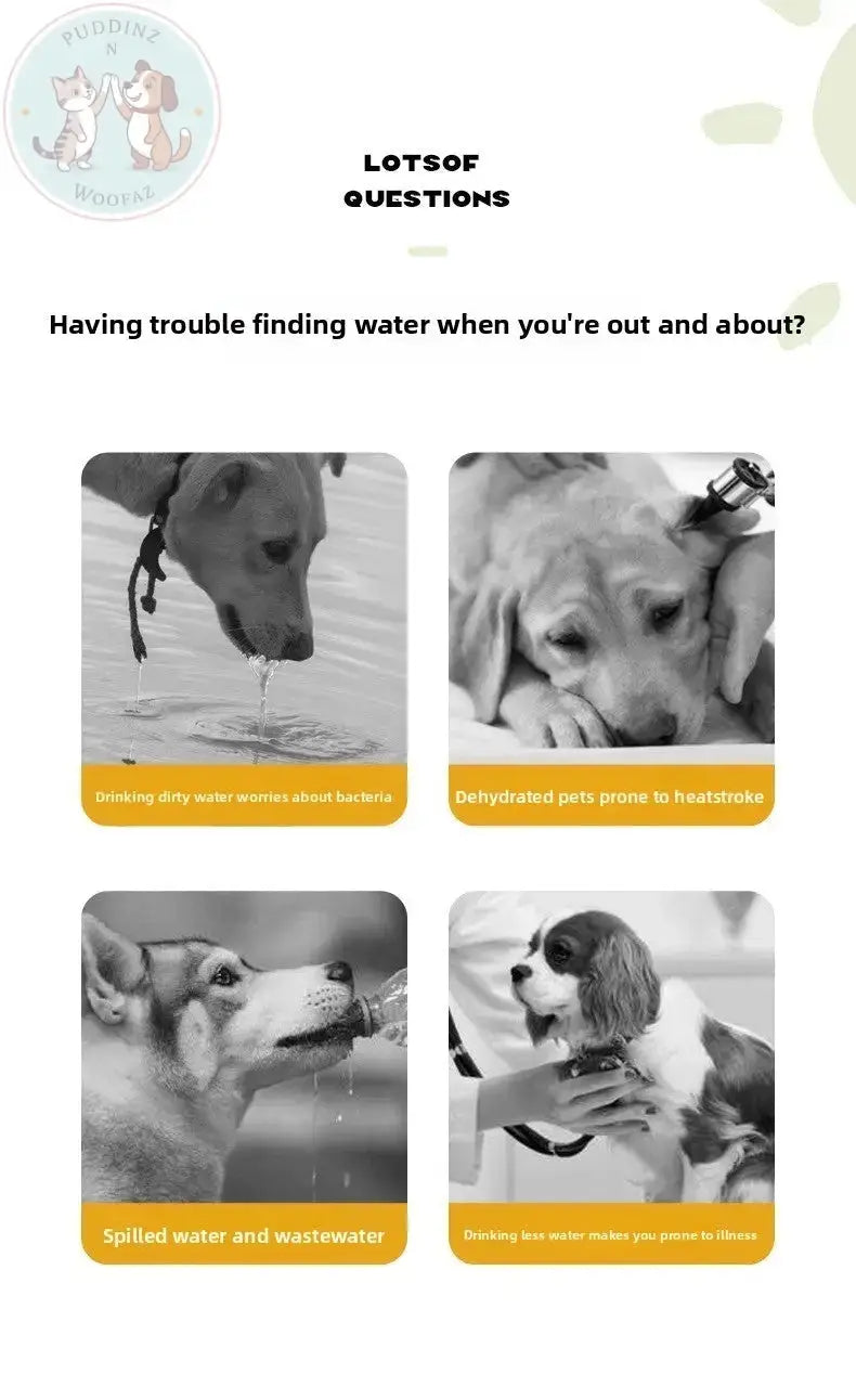 Portable Dog Water Bottle - Outdoor Travel Feeder Puddinz n Woofaz  Pet Puddinz n Woofaz