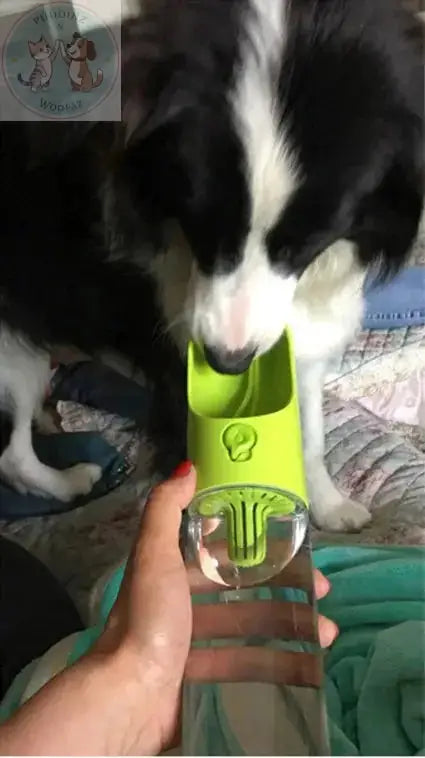 Portable Pet Water Bottle