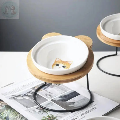 raised cat bowl