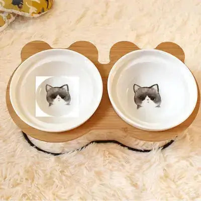 raised cat bowl