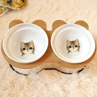 raised cat bowl