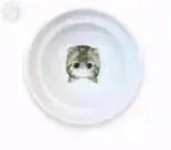 raised cat bowl