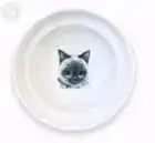 raised cat bowl