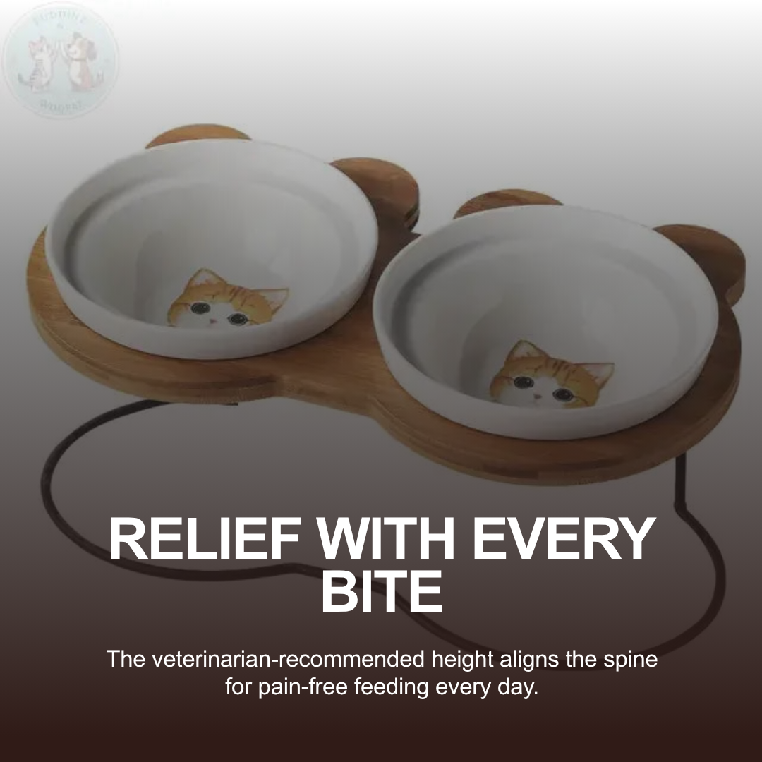 Raised Cat Bowl Stand – Elevated Feeder for Neck Relief and Comfort