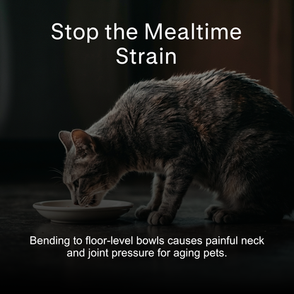 Raised Cat Bowl Stand – Elevated Feeder for Neck Relief and Comfort