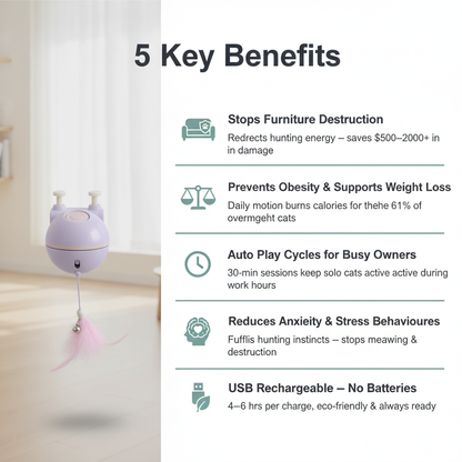 Automatic Interactive Cat Toy – 5 Key Benefits Infographic