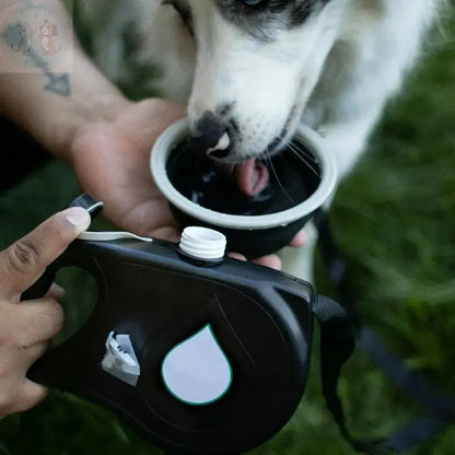 dog leash with water bottle