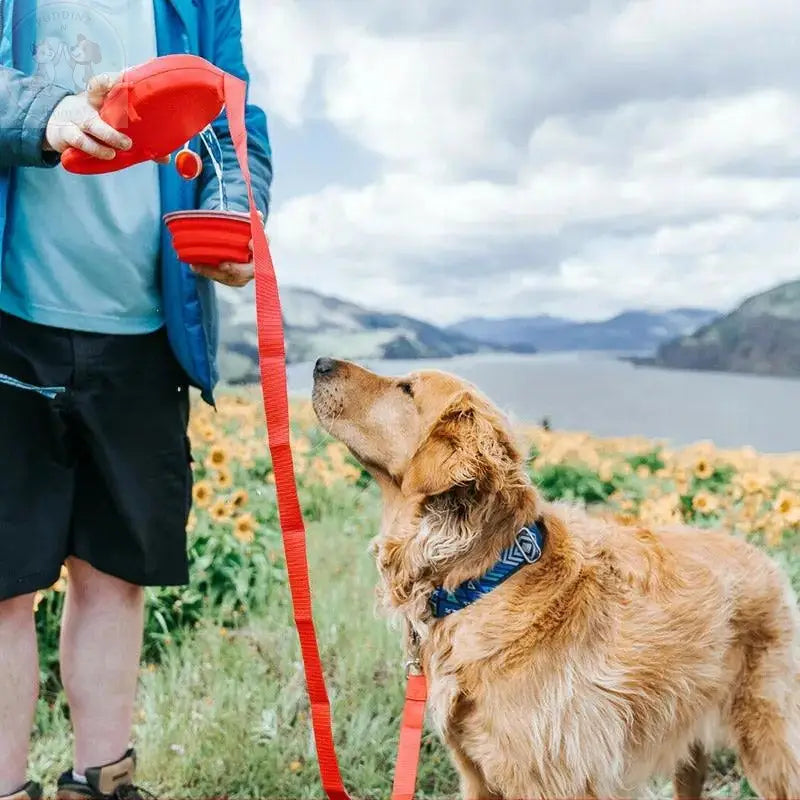 dog leash with water bottle