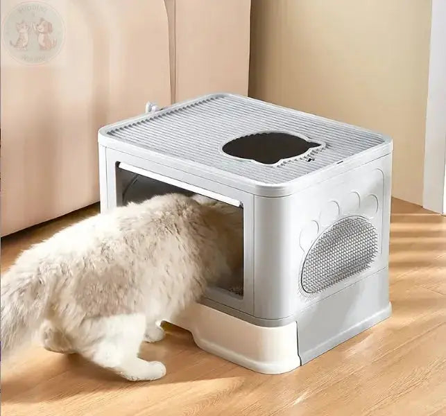 large cat litter box