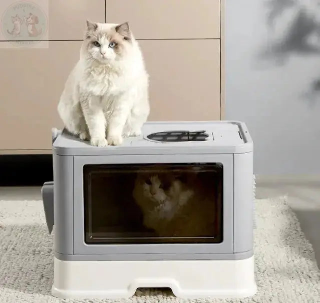 large cat litter box