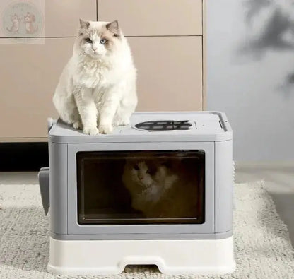 large cat litter box