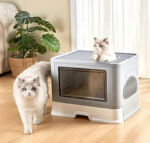 large cat litter box