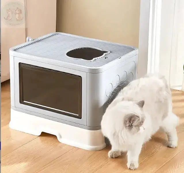 large cat litter box